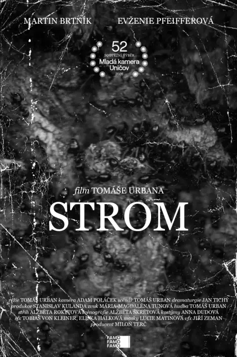 Strom